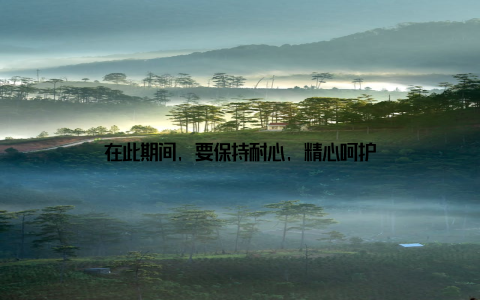 在此期间, 要保持耐心, 精心呵护