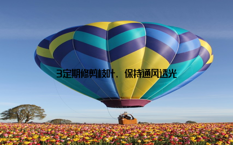 3定期修剪枝叶, 保持通风透光