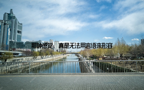 那种感觉, 真是无法用言语来形容