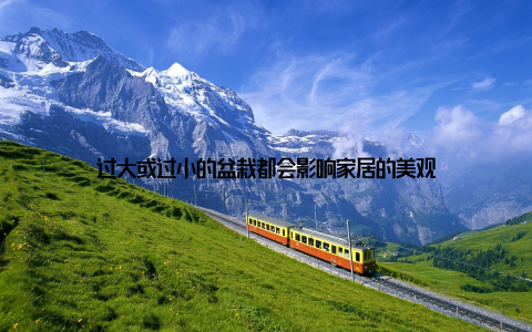 过大或过小的盆栽都会影响家居的美观