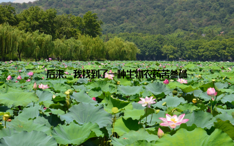 后来, 我找到了一种生物农药苦参碱