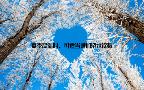 夏季高温时, 可适当增加浇水次数